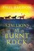 Stallions at Burnt Rock (West Texas Sunrise #1) by Paul Bagdon