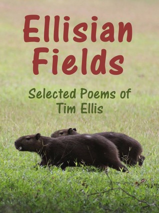 ellisian-fields