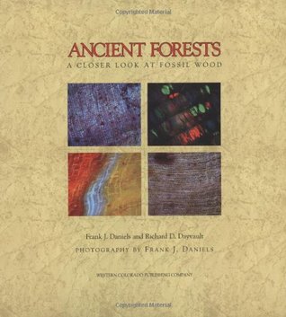 ancient-forests-a-closer-look-at-fossil-wood