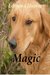 Magic The Story of a Lost Dog and a Wounded Marine. by Edmond R. Humm