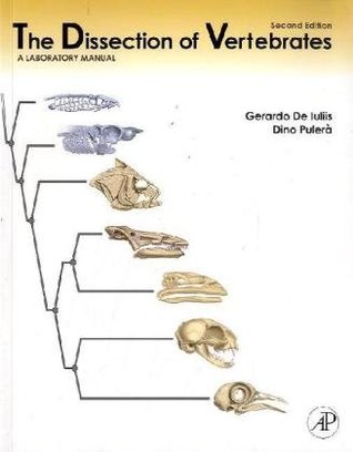 picture of uncircumcised penis atlas of facial implants