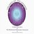 Children of the Universe: Cosmic Education in the Montessori Elementary Classroom