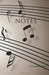 Notes (Music edition) by Infotainment Press