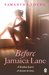 Before Jamaica Lane (On Dublin Street, #3) by Samantha Young