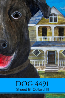 Resultado de imagen de 4491