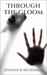 Through the Gloom (Veilwalker Trilogy, #2) by Jennifer R. McDonald