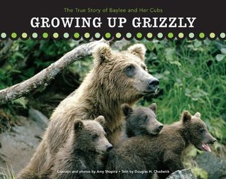 growing-up-grizzly-the-true-story-of-baylee-and-her-cubs
