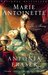 Marie Antoinette The Journey by Antonia Fraser