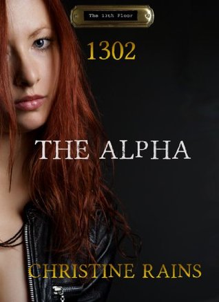 20336804