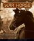 War Horse (War Horse, #1) by Michael Morpurgo