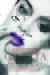 Ginetta Finds a Soul by Riley Steel