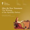 After the New Testament: The Writings of the Apostolic Fathers cover