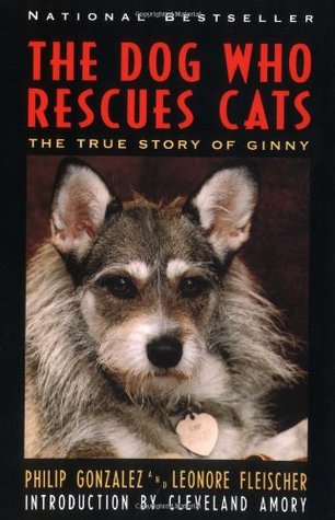 The-Dog-Who-Rescues-Cats-True-Story-of-Ginny-The