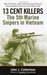 13 cent killers the 5th marine snipers in vietnam essay 03 picture