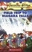 Field Trip To Niagara Falls (Geronimo Stilton, #24) by Geronimo Stilton