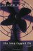 The Long-Legged Fly (Lew Griffin, #1) by James Sallis