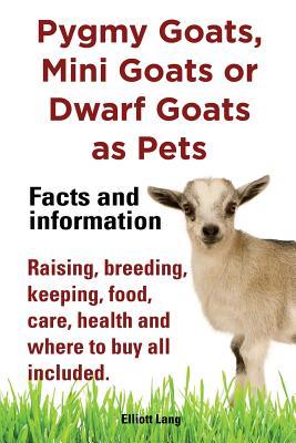 pygmy-goats-as-pets-pygmy-goats-mini-goats-or-dwarf-goats-facts-and-information-raising-breeding-keeping-milking-food-care-health-and-where