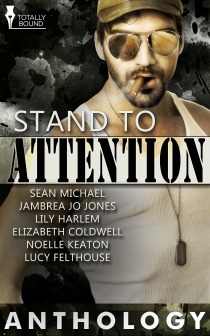 stand-to-attention
