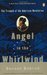 Angel in the Whirlwind The Triumph of the American Revolution by Benson Bobrick