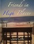 Friends in High Places by Jamie Cirillo