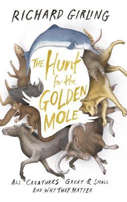 the-hunt-for-the-golden-mole-all-creatures-great-and-small-and-why-they-matter