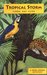 Tropical Storm (Delta Stevens, #6)