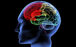 ultimate-student-through-science-how-to-use-smart-drugs-brain-chemistry-and-psychology-to-guarantee-success