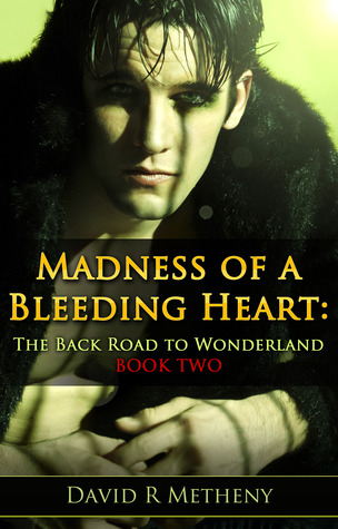 Madness of a Bleeding Heart by David R. Metheny