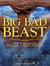 Big Bad Beast by Shelly Laurenston