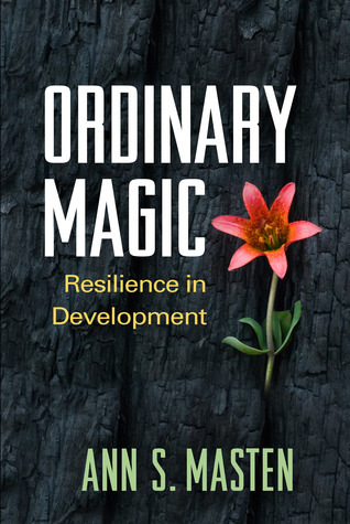 ordinary-magic-resilience-in-development