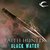 Black Water (A Jane Yellowrock Story, #6.3) by Faith Hunter