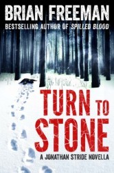 Turn to Stone(Jonathan Stride 5.6)