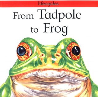 from-tadpole-to-frog