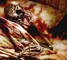 Those Who Remain (A Zombie Apocalypse, #4)