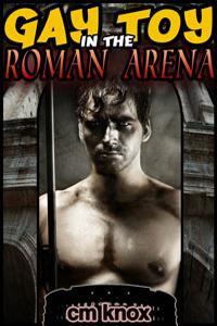gay-toy-in-the-roman-arena