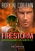 Firestorm (SoulShares, #4) by Rory Ni Coileain