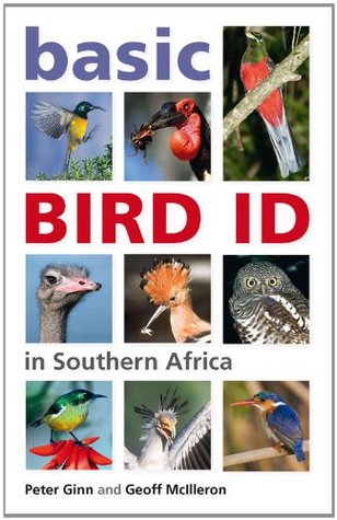 basic-bird-id-in-southern-africa
