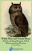 While Man and Nature Sleep Owls Are Cultural Symbols of Dark Mystery and Good Fortune by Gertrud Benker