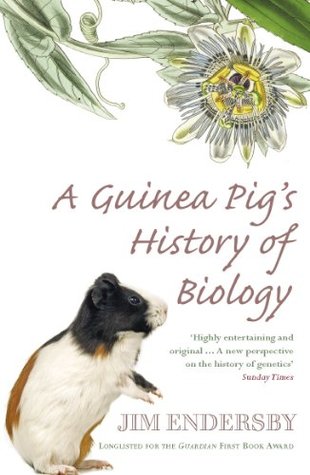 homosexual activity of guinea pigs Homosexual activity of guinea pigs