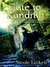 Gate to Kandrith (The Kandrith Series) by Nicole Luiken