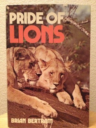 pride-of-lions