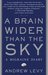 A Brain Wider Than the Sky by Andrew Levy