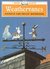 Weathervanes by Patricia Mockridge