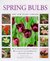 Spring Bulbs by Peter McHoy