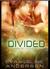 Divided (Brides of the Kindred, #10) by Evangeline Anderson