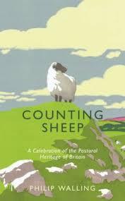counting-sheep