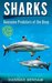 Sharks Awesome Predators of the Deep (Nature in Action Series) by Hannah Benham