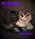Not His Type (Opposites Attract, #1) by Lisa J. Crane