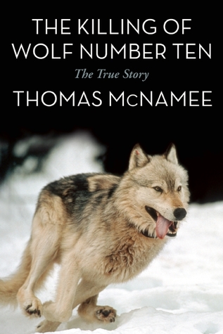the-killing-of-wolf-number-ten-the-true-story