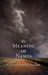 The Meaning of Names by Karen Gettert Shoemaker